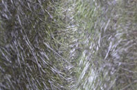 Cefn Mawr fibreglass roof work